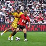 Stade Rennais : le nouveau Martin Terrier à Rennes !