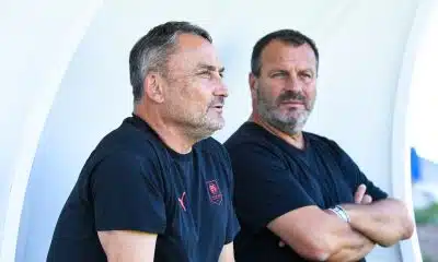 Stade Rennais Mercato : après Cresswell, la nouvelle priorité a fuité !