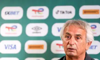 FC Nantes : le retour d&rsquo;Halilhodzic loin de remplir la Beaujoire
