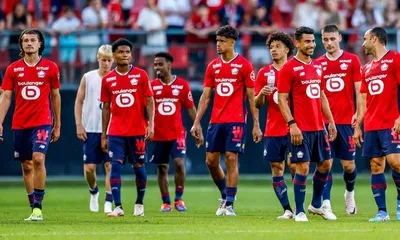 LOSC : les Dogues sont fixés pour leur adversaire en barrage de Ligue des Champions !