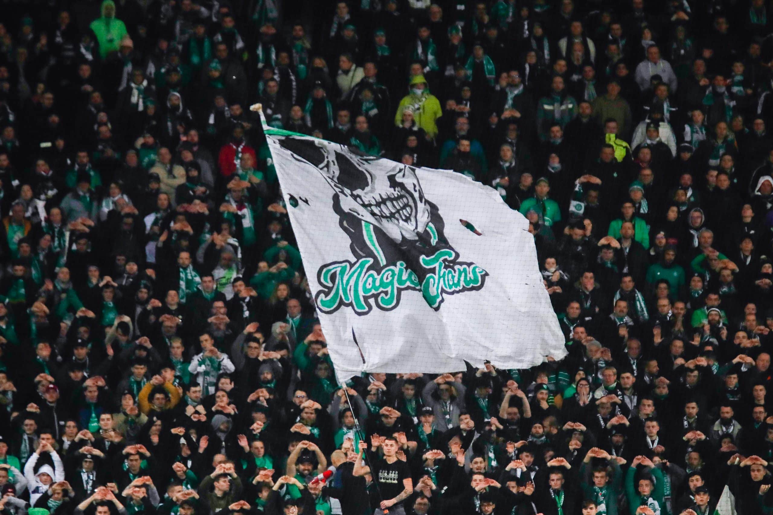 Les Magic Fans pendant une rencontre de l'ASSE.