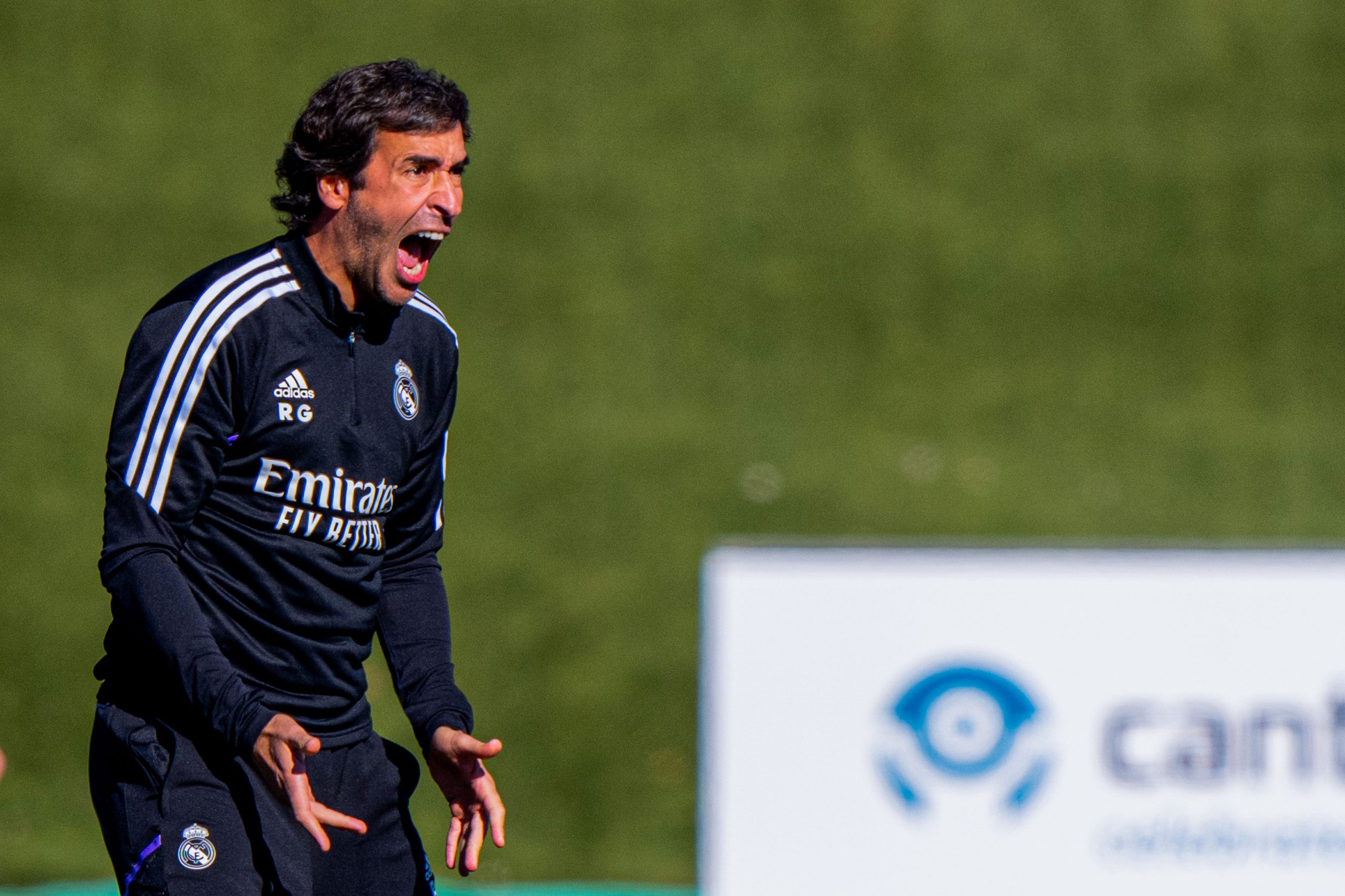 Raul