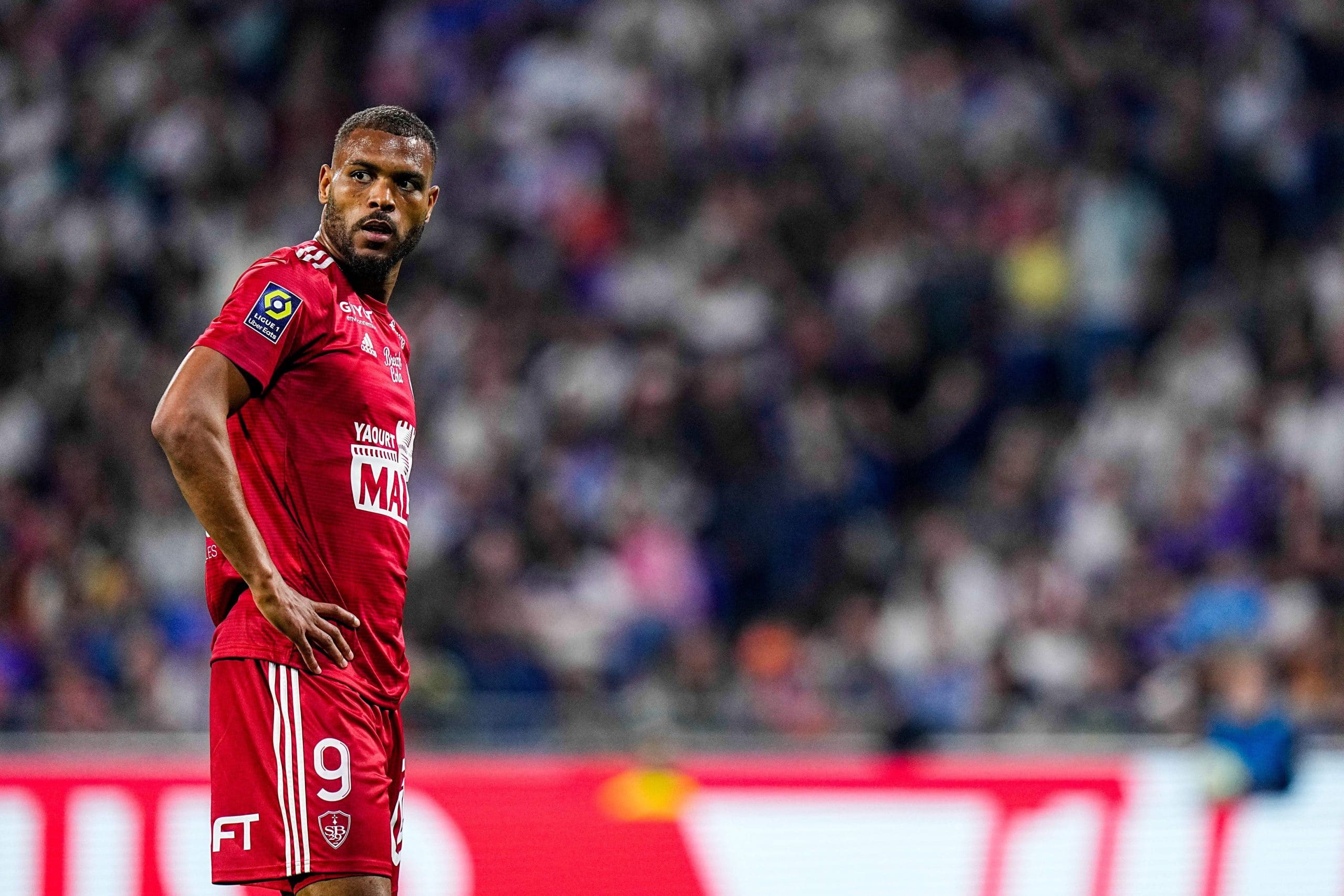 Steve Mounié sous le maillot du Stade Brestois