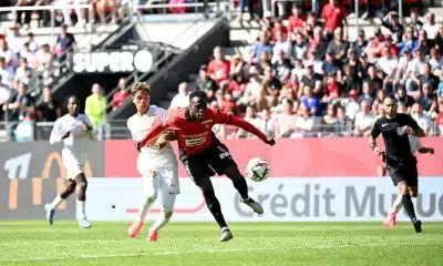 Stade Rennais : la compo probable du SRFC face au MHSC