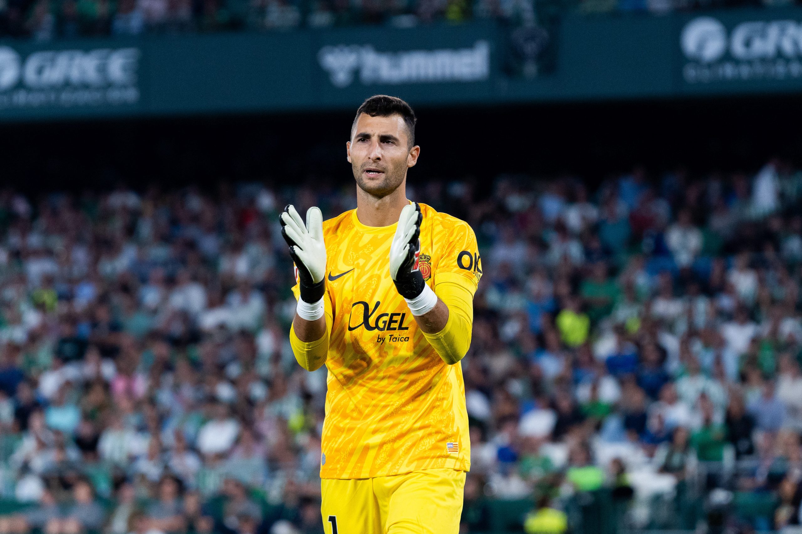 Le gardien slovaque Dominik Grief sous les couleurs de Majorque.