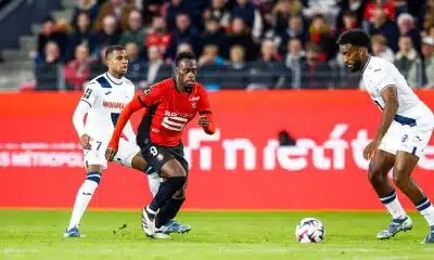 Stade Rennais : la compo probable du SRFC face au Havre