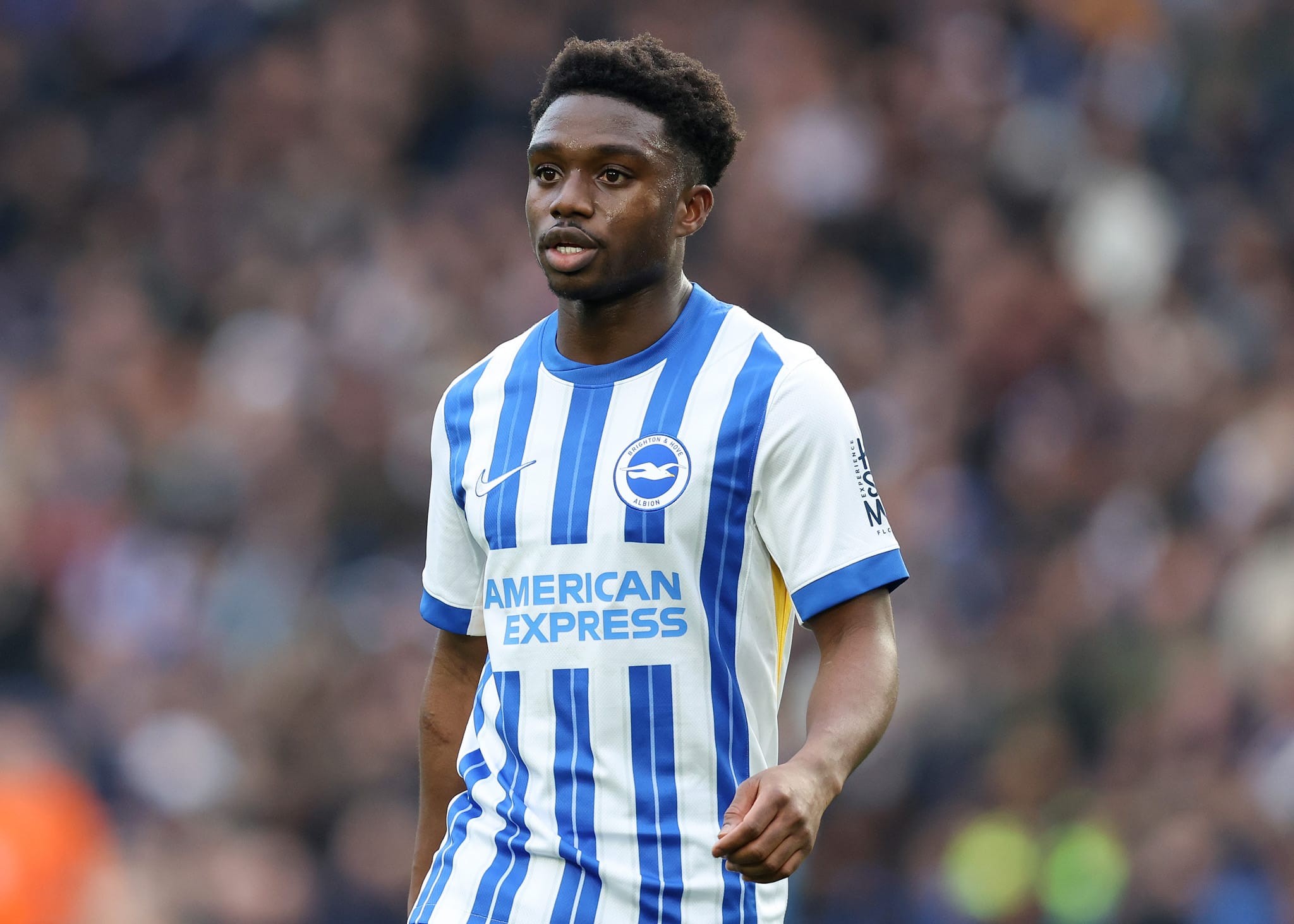 Tariq Lamptey (Brighton)