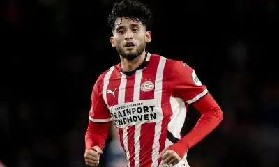 Nice retient Haise, le LOSC a un plan B à David, décision imminente pour Savanier