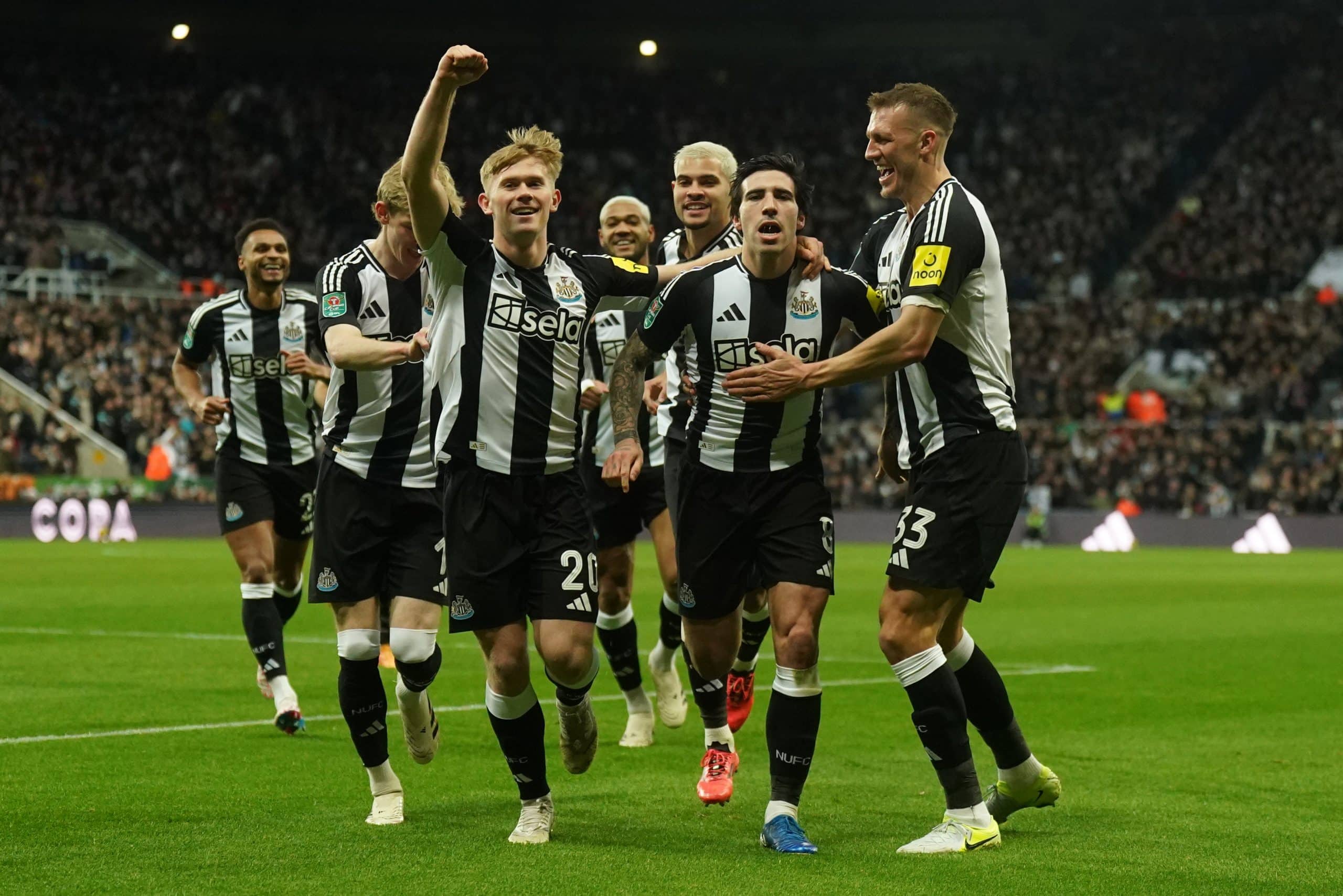 La joie des Magpies