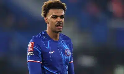 OM Mercato : Marseille est fixé pour Renato Veiga