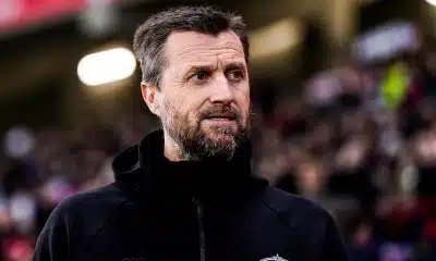 LOSC – ASSE : Horneland ne lâche rien, Mouton ne se pardonne pas