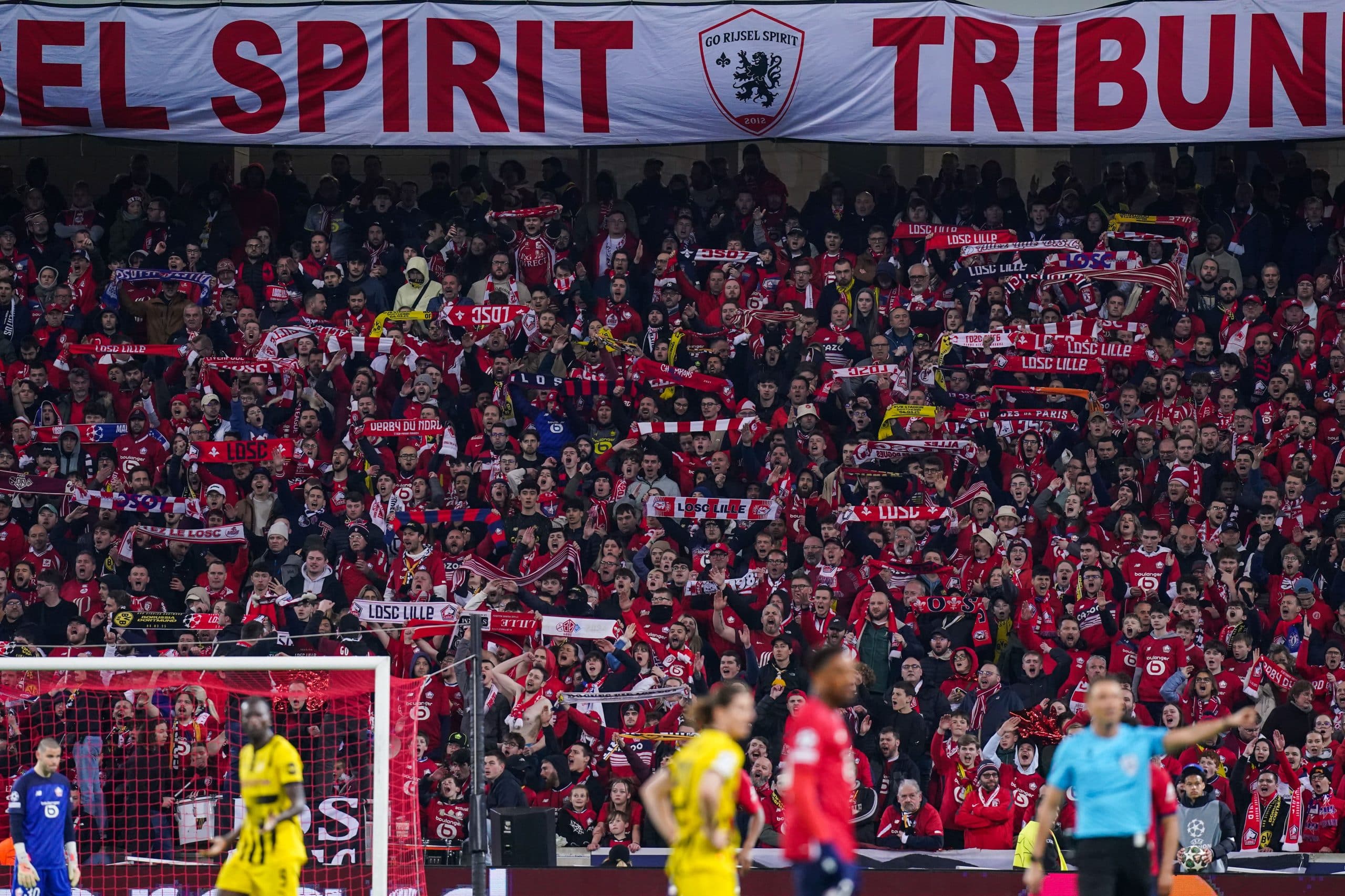 Les supporters du LOSC