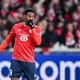 Jonathan David, l'attaquant du LOSC.