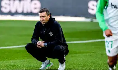 RC Strasbourg – ASSE : Horneland sans concession, ses joueurs montrés du doigt