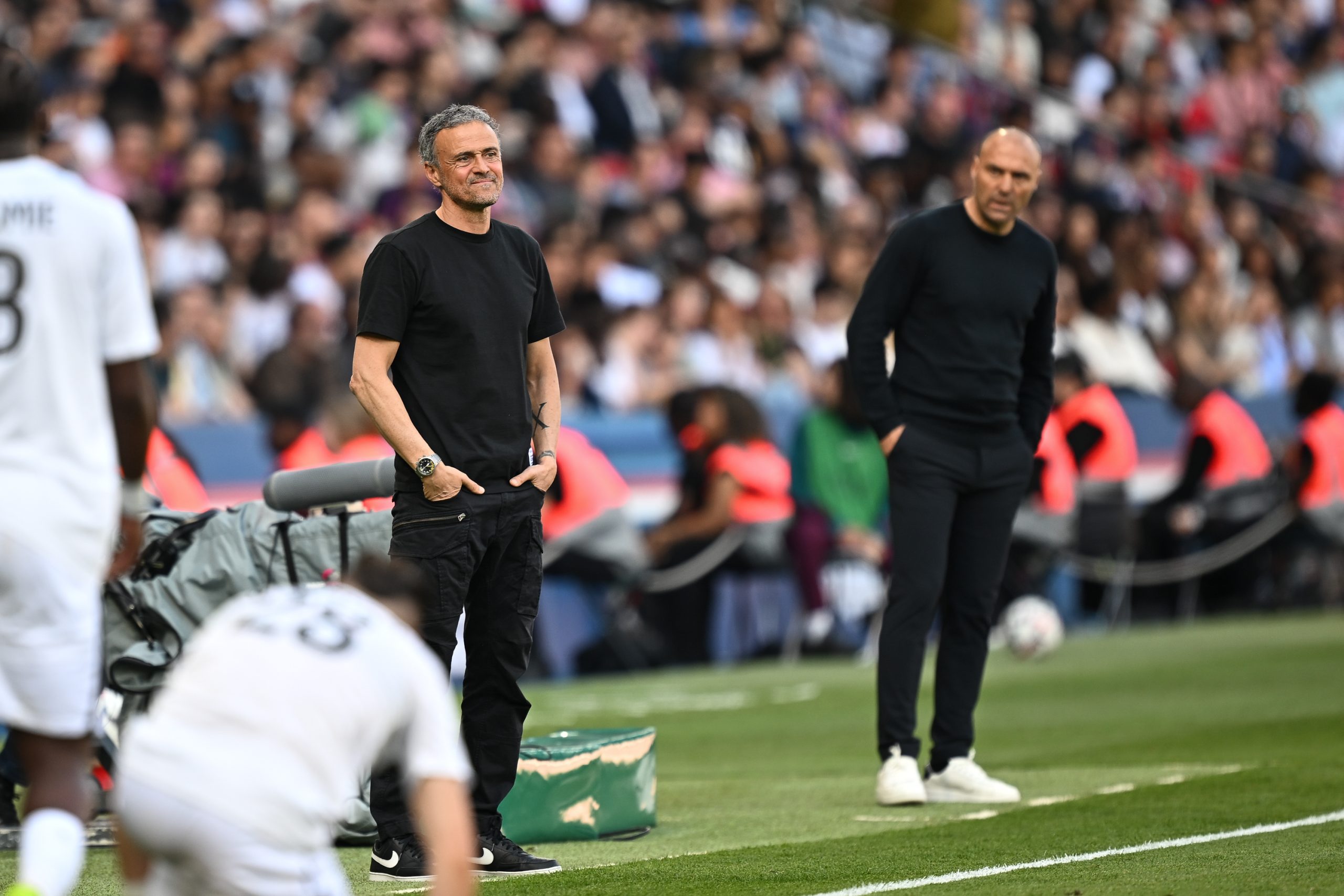 Luis Enrique et Alexandre Dujeux lors du PSG-Angers de la saison passée.