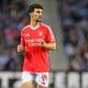 Tomas Araujo (Benfica)