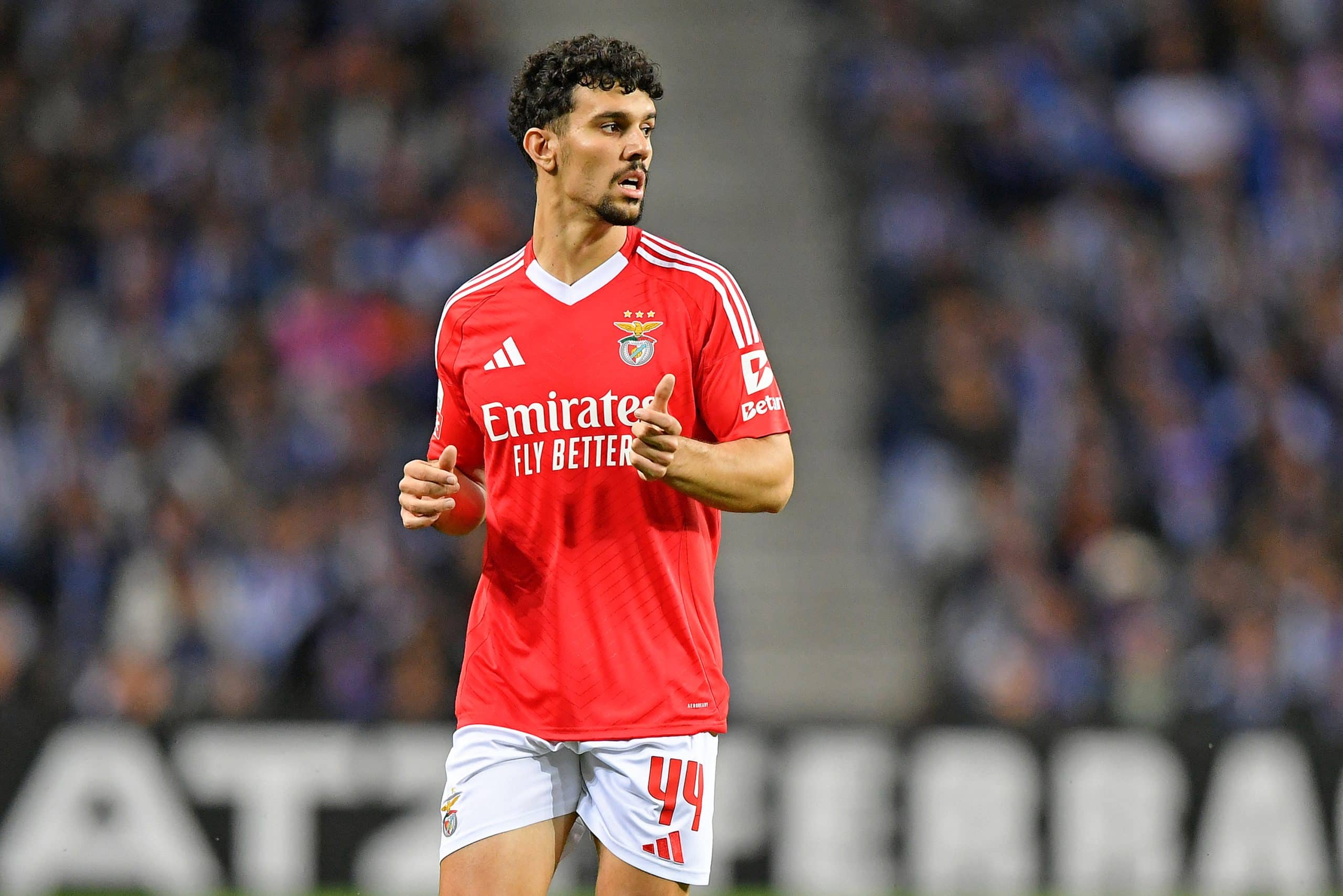 Tomas Araujo (Benfica)