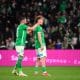 Lucas Stassin, l'attaquant de l'ASSE.