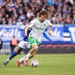 ASSE : au Havre, on suit assidûment les résultats des Verts