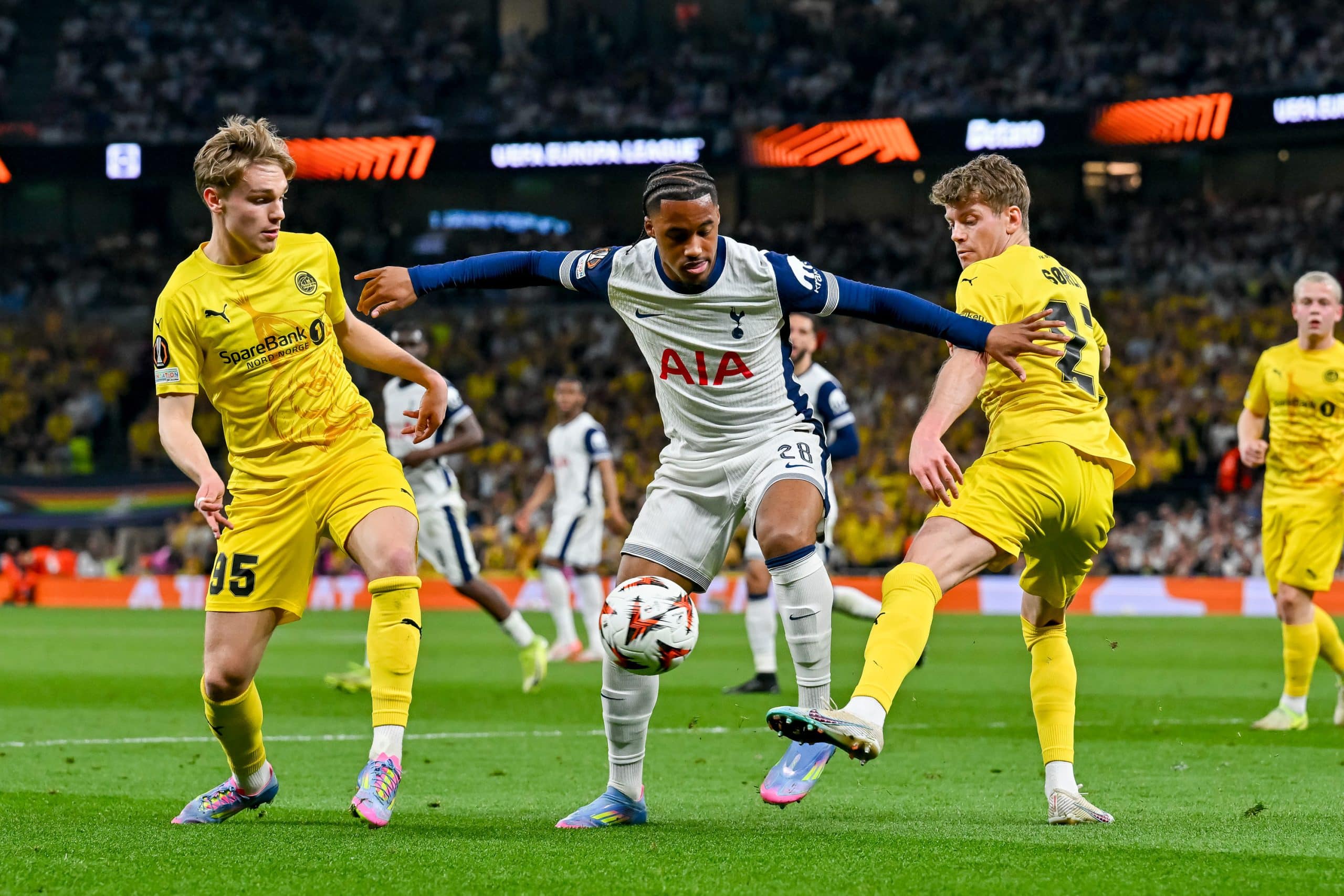 Wilson Odobert lors de Tottenham - Bodo/Glimt