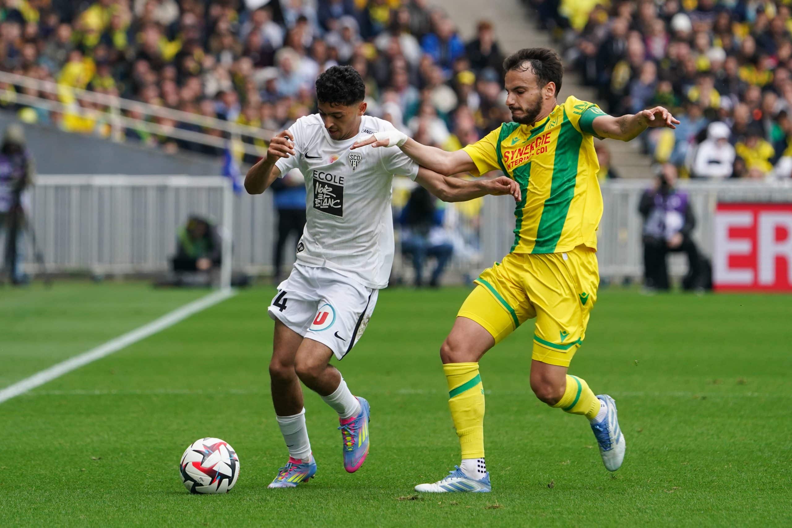 Chirivella, du FC Nantes, au marquage d'un joueur du SCO d'Angers.
