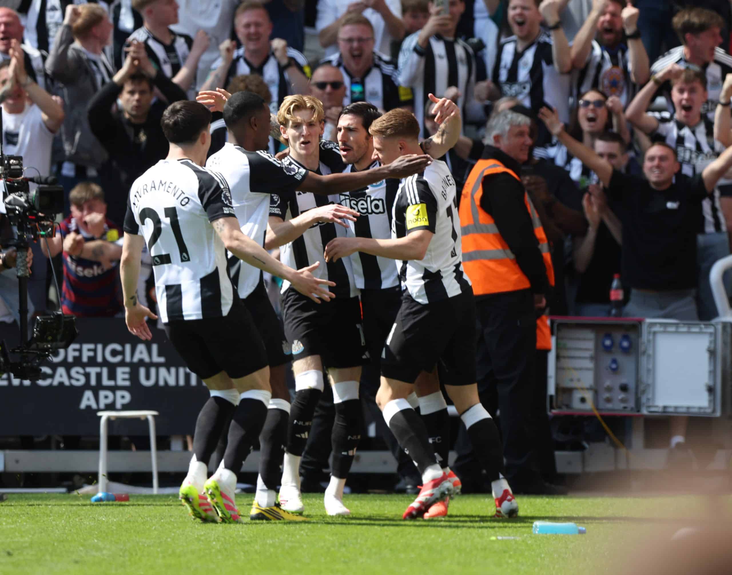 Les joueurs de Newcastle