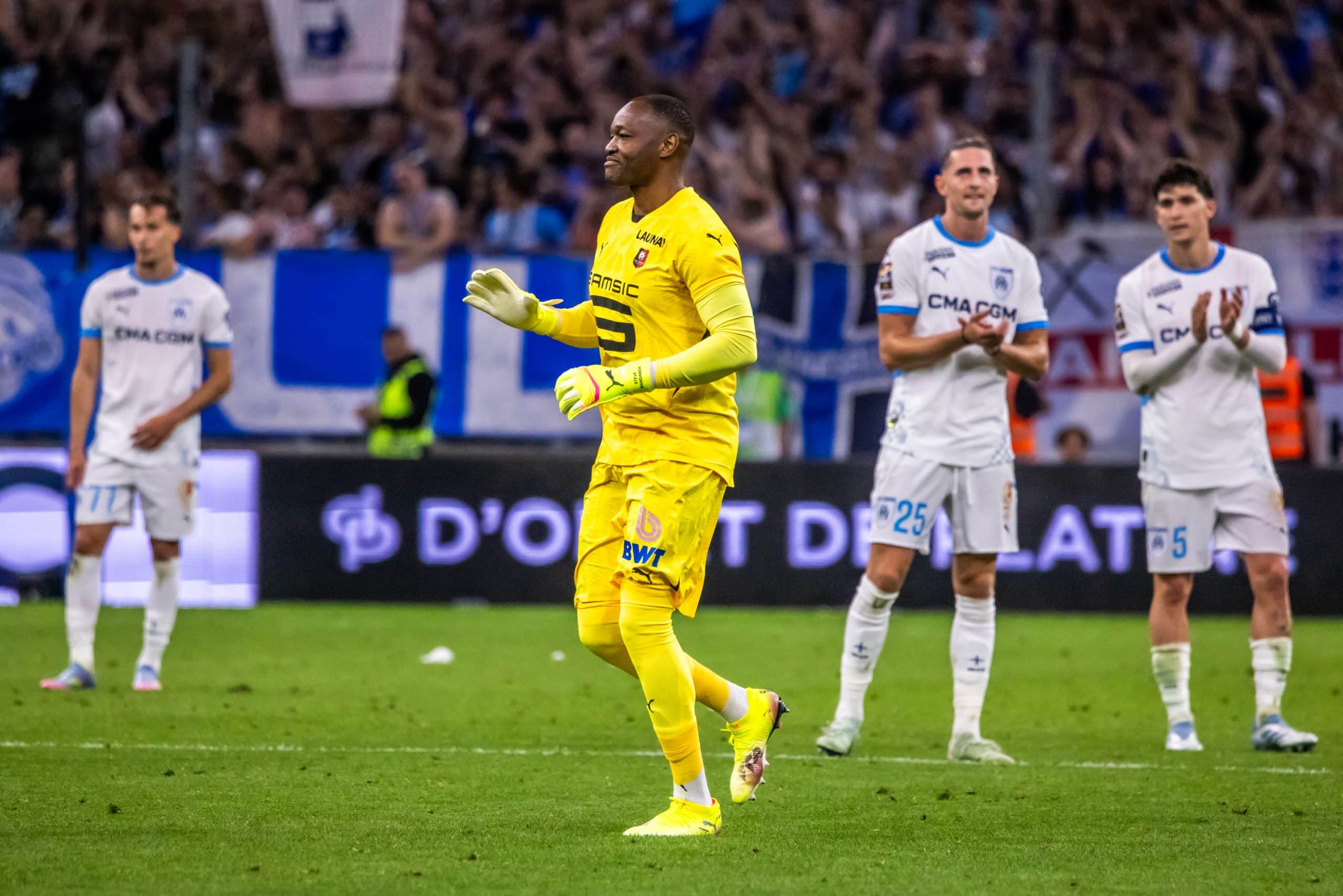 Steve Mandanda lors d'OM - Stade Rennais