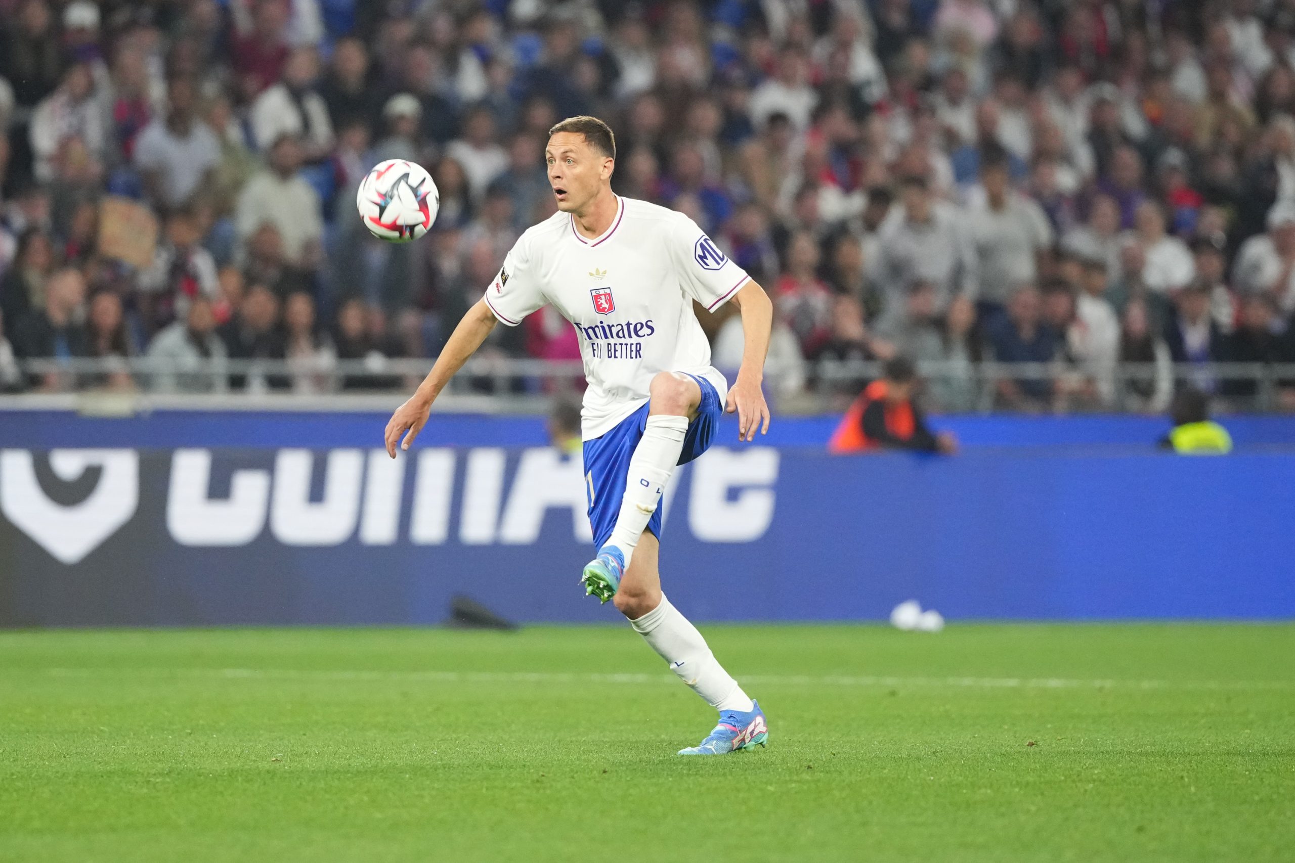 Nemanja Matic lors du dernier match de la saison entre l'OL et Angers.