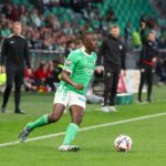 ASSE INFO BUT ! : Horneland privé de deux latéraux contre Grenoble