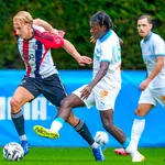 OM : 3 renforts de plus pour Roberto De Zerbi ! 