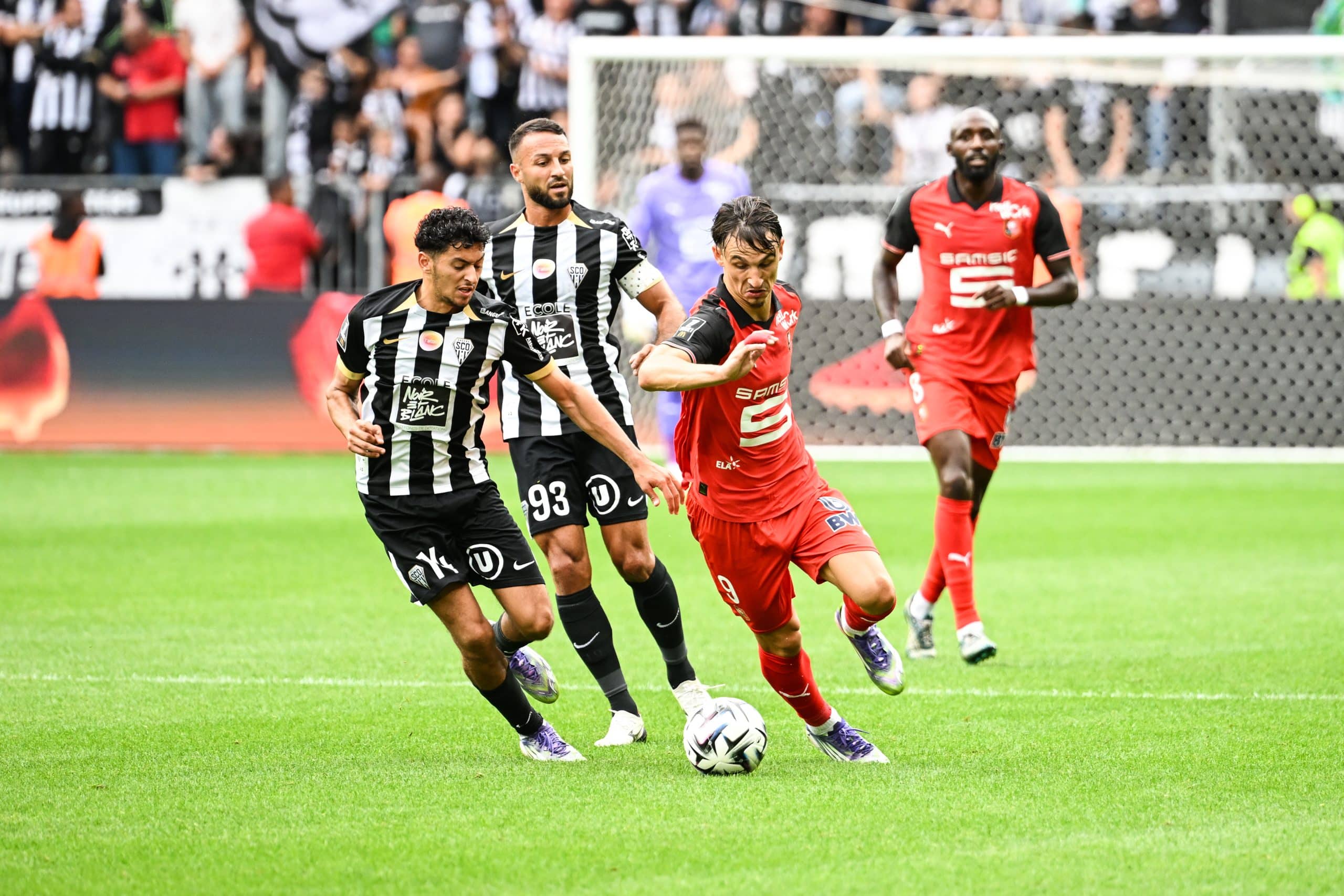 Esteban Lepaul lors du match aller entre le Stade Rennais et le SCO d'Angers