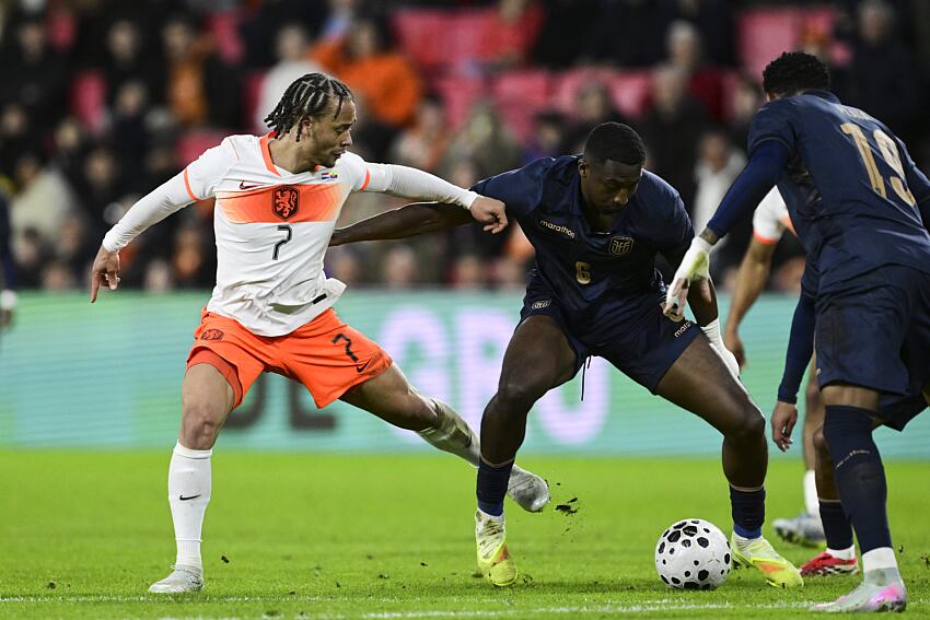 PSG: Hakimi, Lee, Pacho… shower of good news before Toulouse