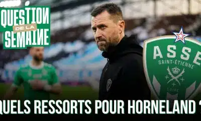 ASSE : et maintenant, quels ressorts pour Horneland ?