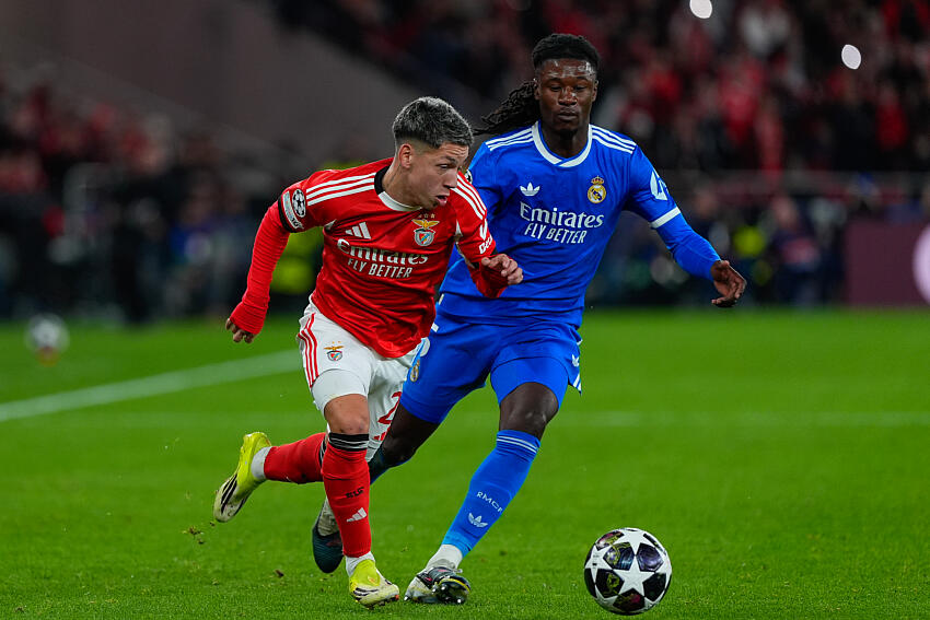 Gianluca Prestianni (Benfica)