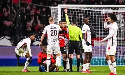 Stade Rennais : un énorme chat noir pour les retrouvailles de Haise avec Nice